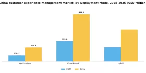China Customer Experience Management Market Segment Image 1