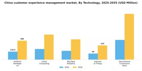 China Customer Experience Management Market Segment Image 2