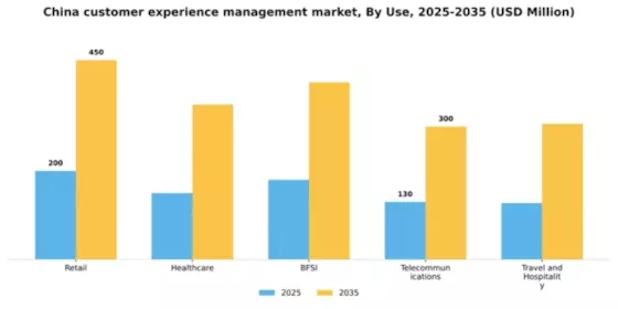 China Customer Experience Management Market Segment Image 3