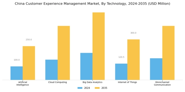 China Customer Experience Management Market Segment Image 0