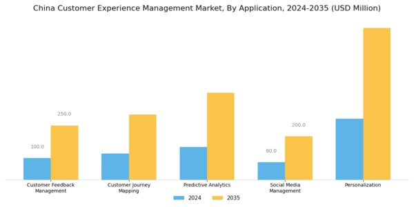 China Customer Experience Management Market Segment Image 1
