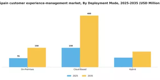 Spain Customer Experience Management Market Segment Image 1