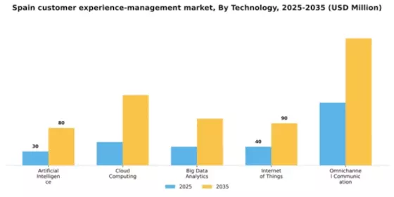 Spain Customer Experience Management Market Segment Image 2