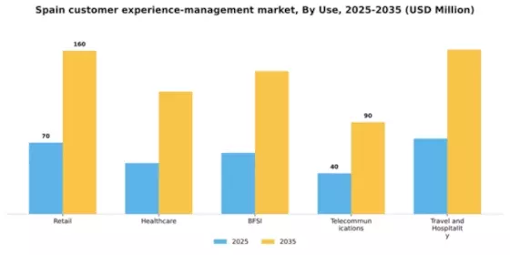 Spain Customer Experience Management Market Segment Image 3
