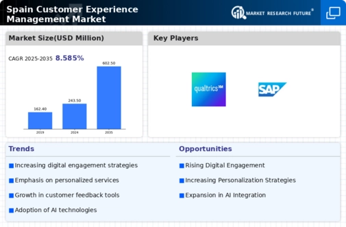 Spain Customer Experience Management Market Infographic