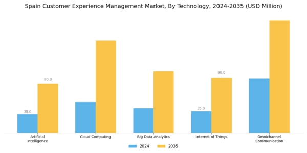 Spain Customer Experience Management Market Segment Image 0