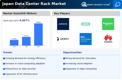 Japan Data Center Rack Market Infographic