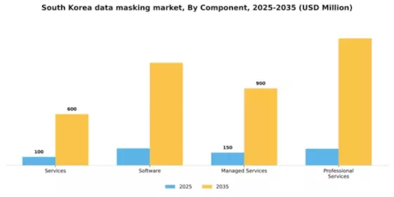 South Korea Data Masking Market Segment Image 1