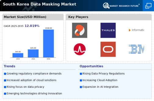 South Korea Data Masking Market Infographic