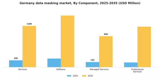 Germany Data Masking Market Segment Image 1