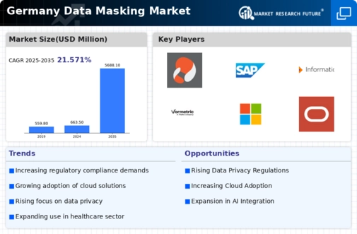 Germany Data Masking Market Infographic