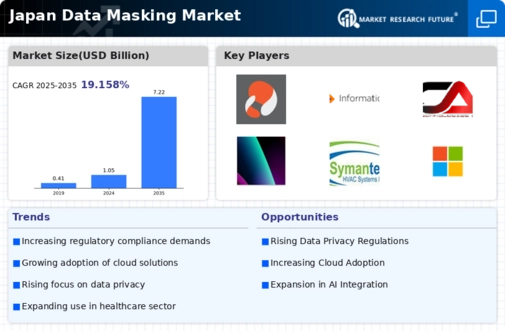 Japan Data Masking Market Infographic