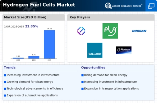 Hydrogen Fuel Cells Market Infographic
