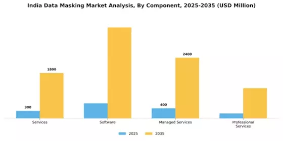India Data Masking Market Segment Image 1