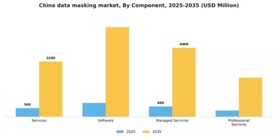 China Data Masking Market Segment Image 1