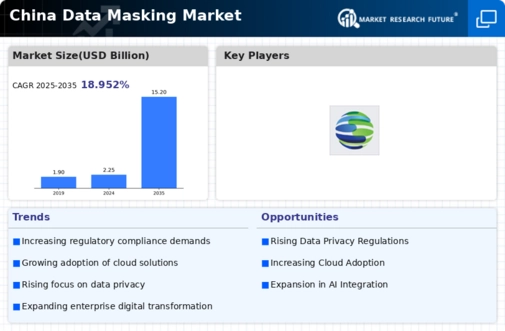 China Data Masking Market Infographic