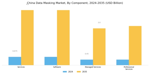 China Data Masking Market Segment Image 0