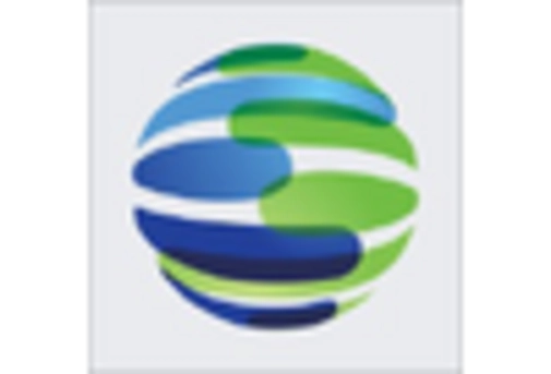 China Data Masking Market key player