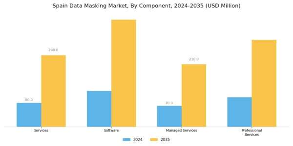Spain Data Masking Market Segment Image 0