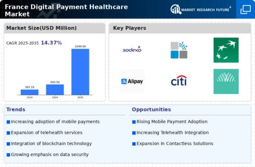 France Digital Payment Healthcare Market Infographic