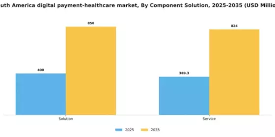 South America Digital Payment Healthcare Market Segment Image 0