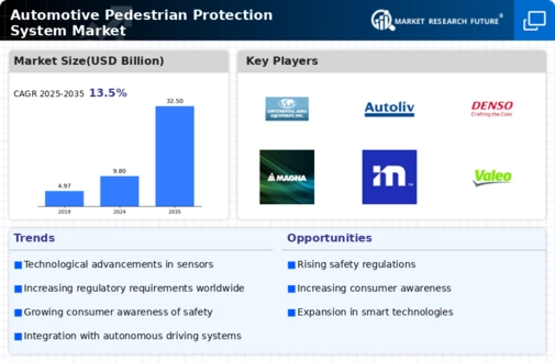 Automotive Pedestrian Protection System Market Infographic