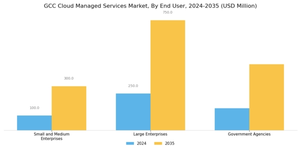 GCC Cloud Managed Services Market Segment Image 2