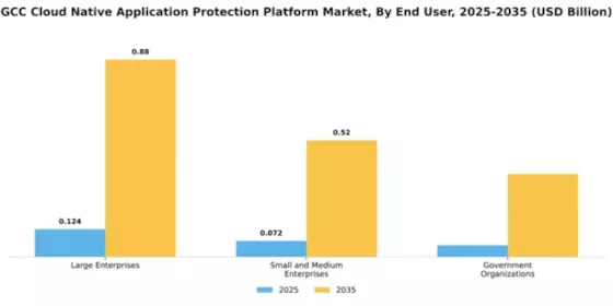 GCC Cloud Native Application Protection Platform Market Segment Image 2