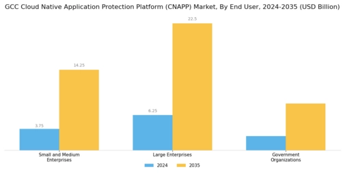 GCC Cloud Native Application Protection Platform Market Segment Image 2