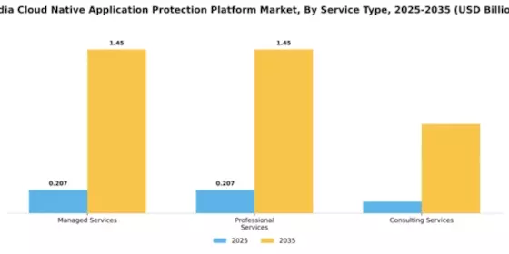 India Cloud Native Application Protection Platform Market Segment Image 4