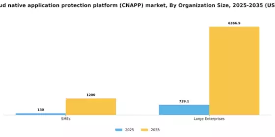 China Cloud Native Application Protection Platform Cnapp Market Segment Image 2