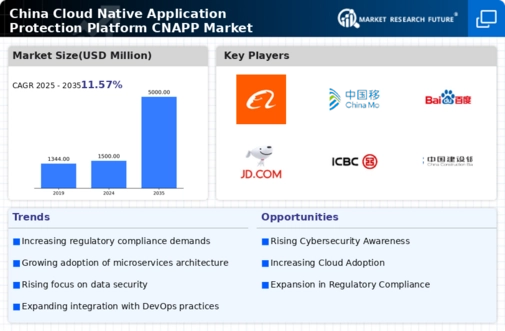 China Cloud Native Application Protection Platform Cnapp Market Infographic