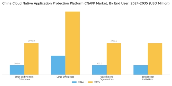 China Cloud Native Application Protection Platform Cnapp Market Segment Image 1