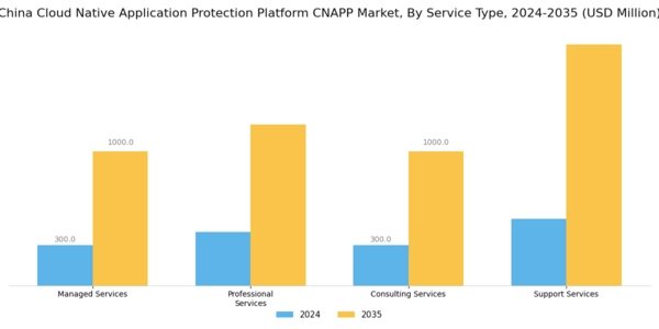 China Cloud Native Application Protection Platform Cnapp Market Segment Image 2