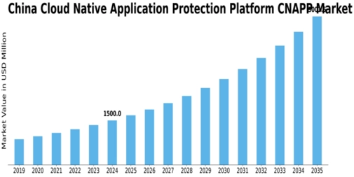 China Cloud Native Application Protection Platform Cnapp Market Size