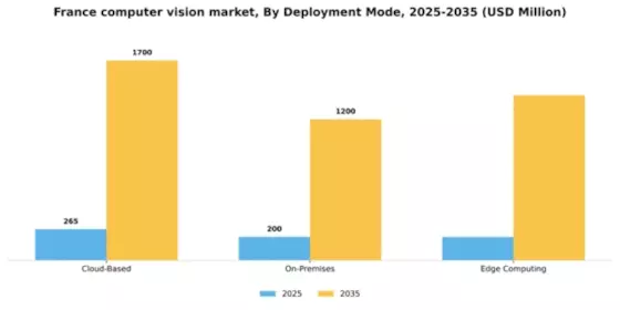 France Computer Vision Market Segment Image 1