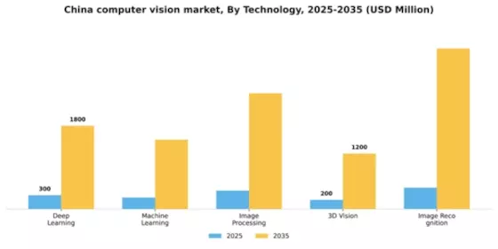 China Computer Vision Market Segment Image 2
