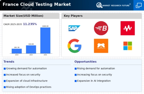 France Cloud Testing Market Infographic
