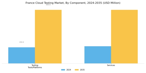 France Cloud Testing Market Segment Image 0