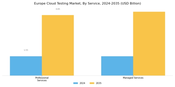 Europe Cloud Testing Market Segment Image 2
