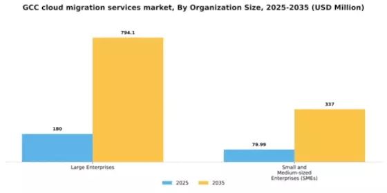 GCC Cloud Migration Services Market Segment Image 2