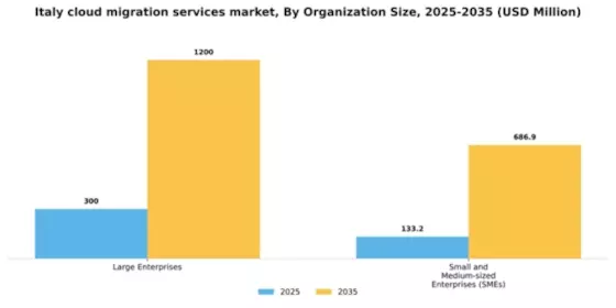 Italy Cloud Migration Services Market Segment Image 2