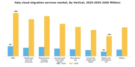 Italy Cloud Migration Services Market Segment Image 4