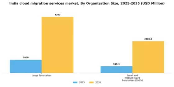 India Cloud Migration Services Market Segment Image 2