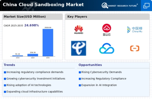 China Cloud Sandboxing Market Infographic