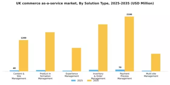 UK Commerce as a Service Market Segment Image 3