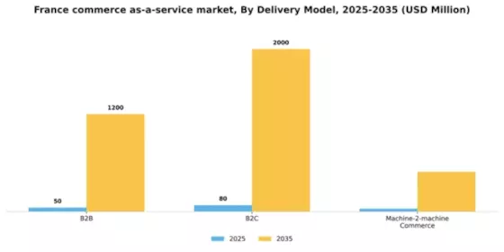 France Commerce as a Service Market Segment Image 1
