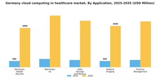Germany Cloud Computing in Healthcare Market Segment Image 0