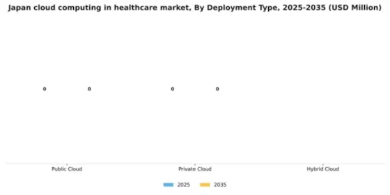 Japan Cloud Computing in Healthcare Market Segment Image 1