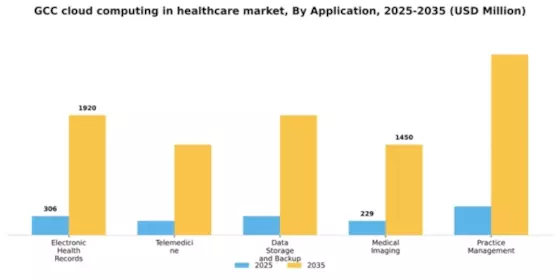 GCC Cloud Computing in Healthcare Market Segment Image 0